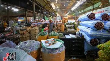 قائمة أسواق أسوان.. تباين أسعار الخضراوات والفاكهة خلال تعاملات اليوم الثلاثاء